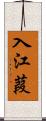 入江葭 Scroll