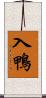 入鴨 Scroll