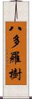 八多羅樹 Scroll