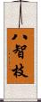 八智枝 Scroll