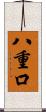 八重口 Scroll