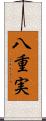 八重実 Scroll