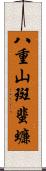 八重山斑蜚蠊 Scroll