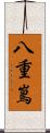 八重嶌 Scroll