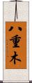 八重木 Scroll