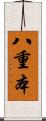 八重本 Scroll