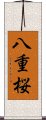 八重桜 Scroll