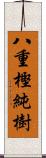 八重樫純樹 Scroll