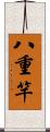 八重竿 Scroll