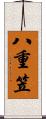 八重笠 Scroll