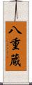 八重蔵 Scroll