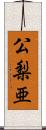公梨亜 Scroll
