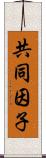 共同因子 Scroll