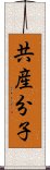 共産分子 Scroll