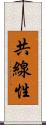 共線性 Scroll