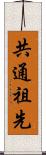 共通祖先 Scroll