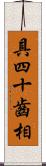 具四十齒相 Scroll