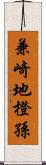 兼崎地橙孫 Scroll