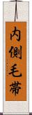 内側毛帯 Scroll