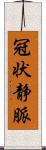 冠状静脈 Scroll