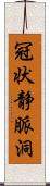 冠状静脈洞 Scroll
