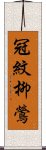 冠紋柳鶯 Scroll