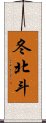 冬北斗 Scroll