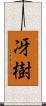 冴樹 Scroll