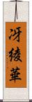 冴綾華 Scroll