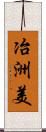 冶洲美 Scroll