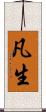 凡生 Scroll