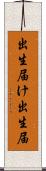出生届け Scroll