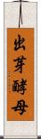 出芽酵母 Scroll