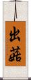 出菇 Scroll