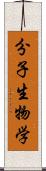 分子生物学 Scroll