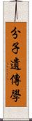 分子遺傳學 Scroll