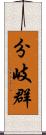 分岐群 Scroll