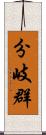 分岐群 Scroll