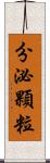 分泌顆粒 Scroll