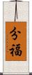 分福 Scroll
