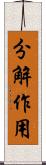 分解作用 Scroll