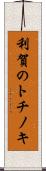 利賀のトチノキ Scroll