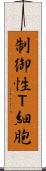 制御性Ｔ細胞 Scroll