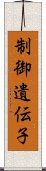 制御遺伝子 Scroll