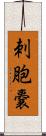 刺胞嚢 Scroll