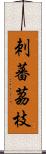 刺蕃茘枝 Scroll