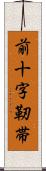 前十字靭帯 Scroll