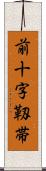 前十字靱帯 Scroll
