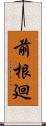 前根廻 Scroll