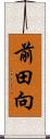 前田向 Scroll